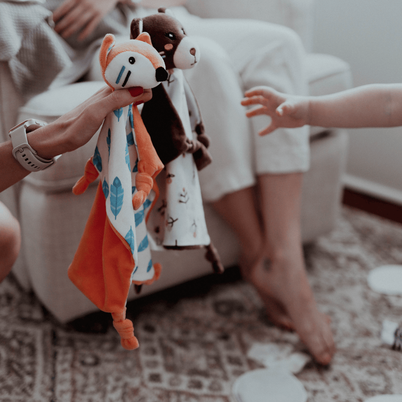 Organic Cotton Baby Comforter